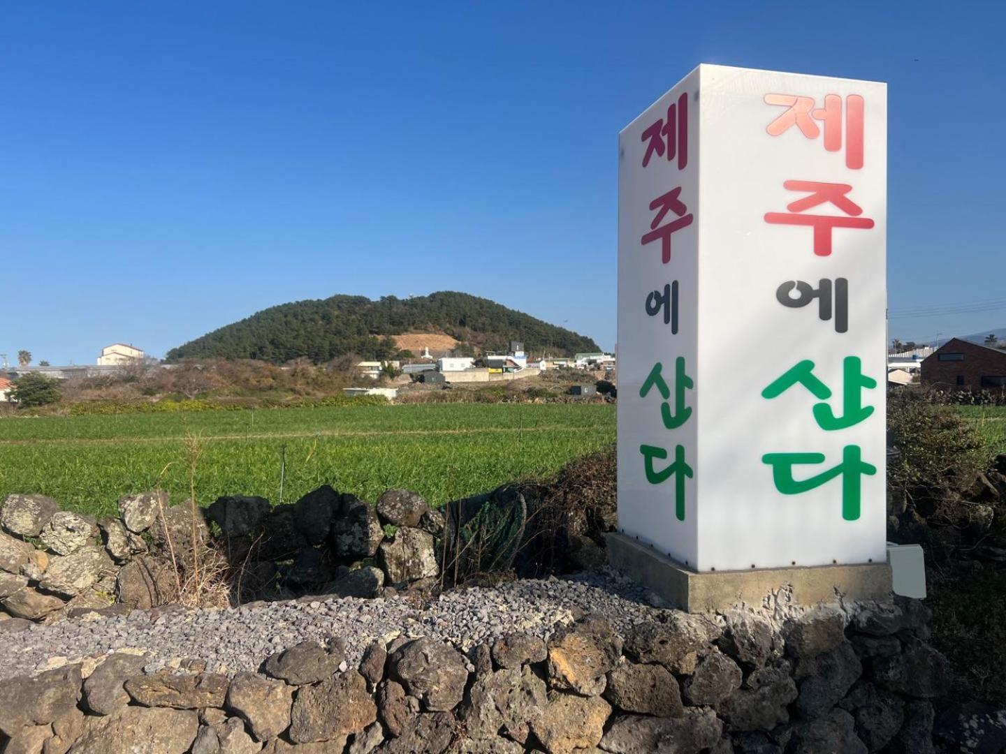 Apartament Living In Jeju Island Zewnętrze zdjęcie